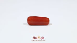 Red Coral - 6.75 Carat