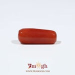 Red Coral - 6.75 Carat