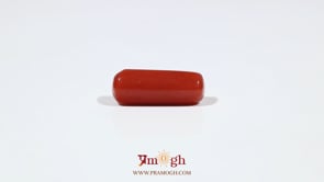 Red Coral - 7 Carat