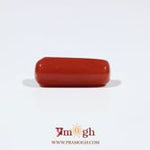 Red Coral - 7 Carat