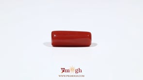 Red Coral - 7.2 Carat