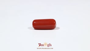 Red Coral - 6.35 Carat