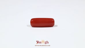 Red Coral - 6.55 Carat