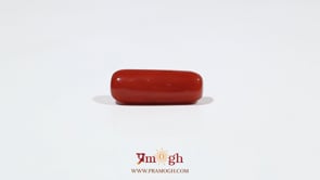 Red Coral - 5.65 Carat