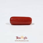 Red Coral - 5.65 Carat