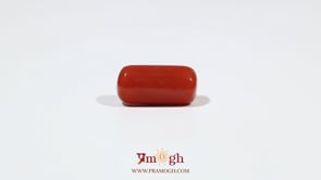 Red Coral - 7.25 Carat