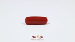 Red Coral - 5.75 Carat