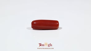 Red Coral - 6.85 Carat