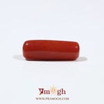 Red Coral - 6.8 Carat