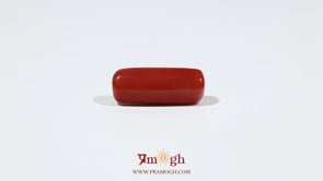 Red Coral - 7.45 Carat