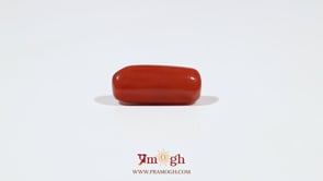 Red Coral - 6.7 Carat