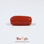 Red Coral - 6.7 Carat