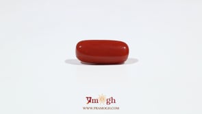 Red Coral - 6.95 Carat