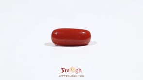 Red Coral - 7.2 Carat