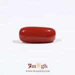 Red Coral - 7.2 Carat