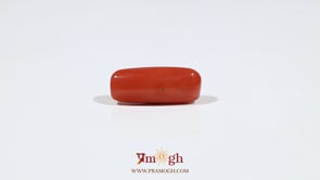 Red Coral - 6.8 Carat