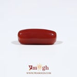 Red Coral - 6.05 Carat