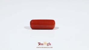 Red Coral - 6.65 Carat
