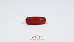 Red Coral - 5.7 Carat