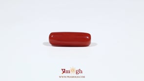 Red Coral - 5.55 Carat