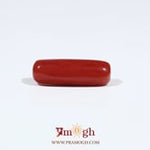 Red Coral - 5.55 Carat