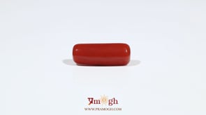 Red Coral - 6.1 Carat