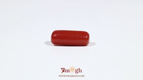 Red Coral - 5.7 Carat
