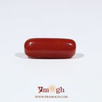 Red Coral - 6.8 Carat