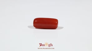 Red Coral - 7.2 Carat