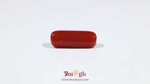 Red Coral - 7.3 Carat