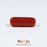 Red Coral - 7.3 Carat