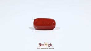Red Coral - 6.75 Carat