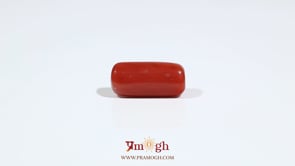 Red Coral - 7.2 Carat