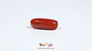 Red Coral - 7 Carat
