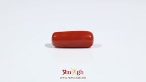 Red Coral - 7.25 Carat
