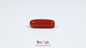 Red Coral - 6.55 Carat