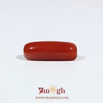Red Coral - 6.55 Carat