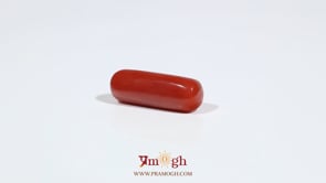 Red Coral - 7.3 Carat