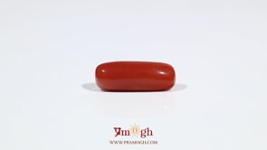 Red Coral - 7.25 Carat