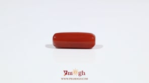 Red Coral - 6.05 Carat