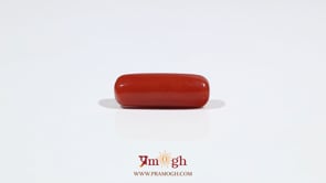 Red Coral - 6.7 Carat