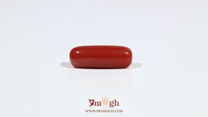Red Coral - 7.3 Carat