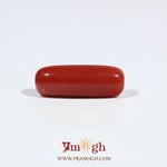 Red Coral - 7.3 Carat