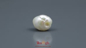 Keshi Pearl - 6.5 Carat