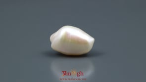 Keshi Pearl - 13.8 Carat