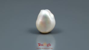 Keshi Pearl - 14.45 Carat