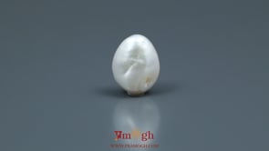 Keshi Pearl - 5.85 Carat