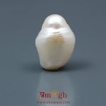 Keshi Pearl - 13.5 Carat
