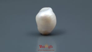 Keshi Pearl - 15.3 Carat