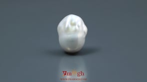 Keshi Pearl - 11.35 Carat